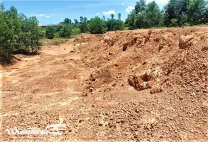 Inspection of the Eco-Tourism Farm Project in Quang Nam Province - image 6