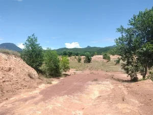 Inspection of the Eco-Tourism Farm Project in Quang Nam Province - image 0