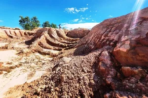 Inspection of the Eco-Tourism Farm Project in Quang Nam Province - image 2