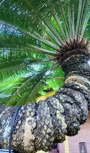 The Mystery of the Deadly Flora in Ly Nha Ky Private Estate - image 7