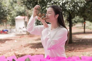 The Mystery of the Deadly Flora in Ly Nha Ky Private Estate - image 0