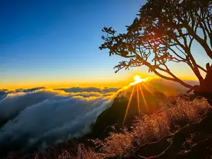 Nhu Co San Sunset: Conquer Majestic Sea of Clouds in Northwest Vietnam - image 11