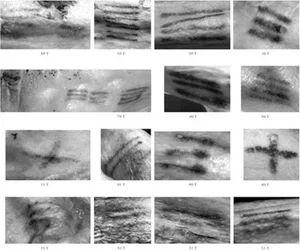 Unlocking the Secrets of 5,300-Year-Old Tattoos Found on the Famous Iceman Mummy - image 6