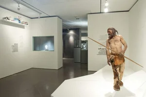 Unlocking the Secrets of 5,300-Year-Old Tattoos Found on the Famous Iceman Mummy - image 3
