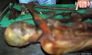 Unlocking the Secrets of 5,300-Year-Old Tattoos Found on the Famous Iceman Mummy - image 0
