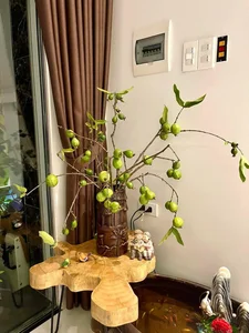 From Countryside Fruit to Chic Home Decor: The Unique Branch Arrangement Trend - image 0