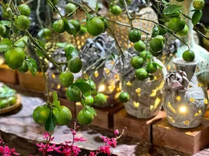 From Countryside Fruit to Chic Home Decor: The Unique Branch Arrangement Trend - image 5