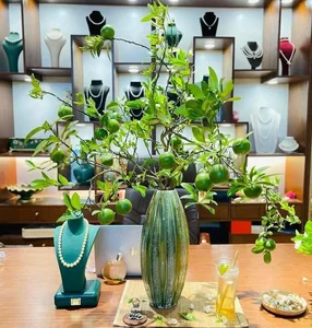From Countryside Fruit to Chic Home Decor: The Unique Branch Arrangement Trend - image 1