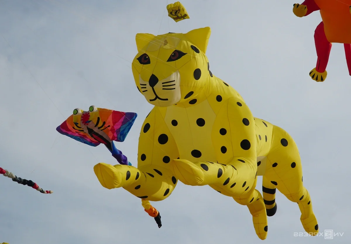 Experience the Magic of Kite Flying on the Pristine Beaches of Quy Nhon
