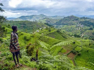 Discover Uganda: The Pearl of Africa and Home to Mountain Gorillas - image 1