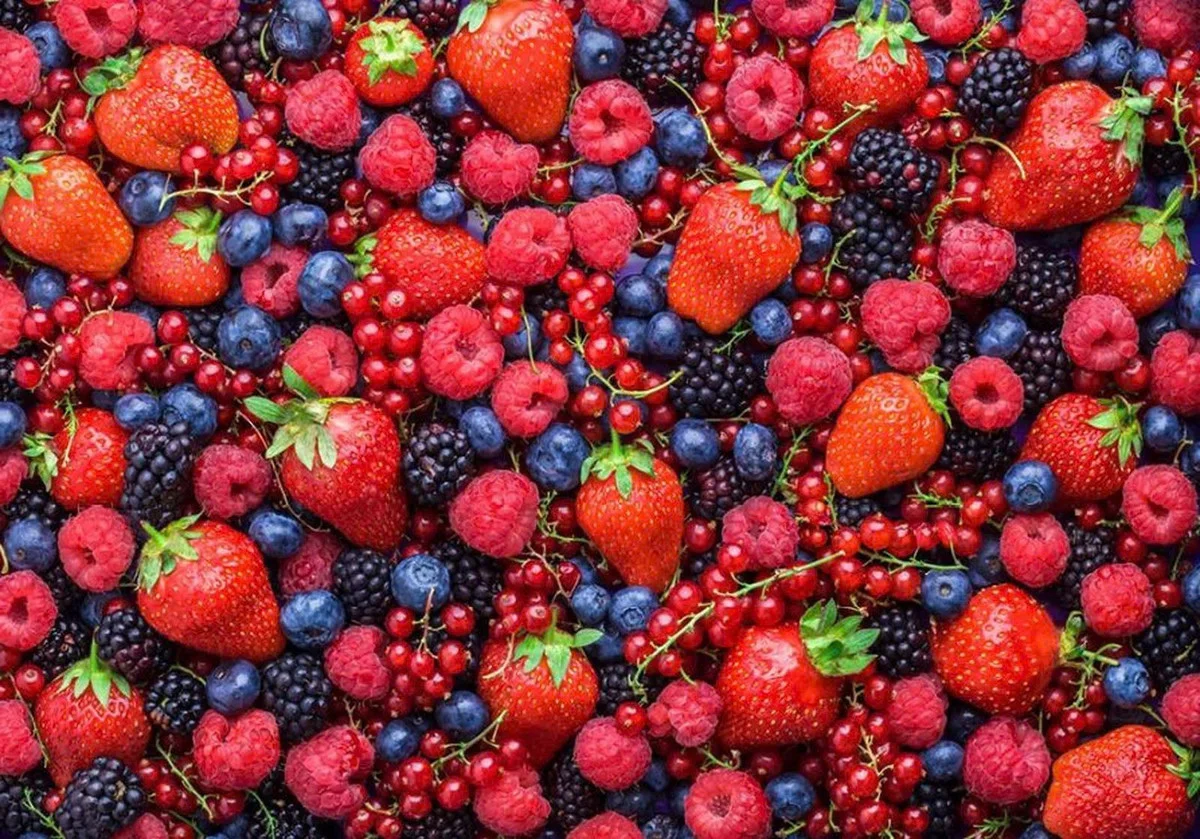 Natural Secrets to Prevent Premature Gray Hair with Vibrant Berries