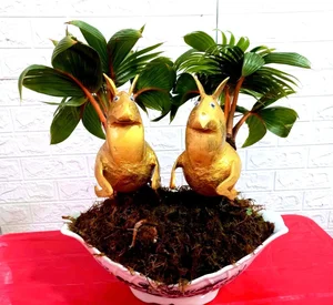 Horse-Shaped Coconut Bonsai Trends Ahead of Tet Binh Ngo 2026 - image 8
