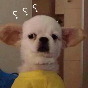 Funny Question Mark Memes: Hilarious Confused Meme Collection - image 41
