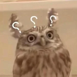 Funny Question Mark Memes: Hilarious Confused Meme Collection - image 23
