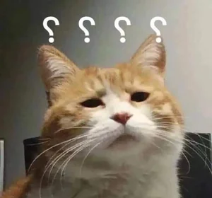 Funny Question Mark Memes: Hilarious Confused Meme Collection - image 45