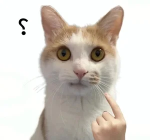 Funny Question Mark Memes: Hilarious Confused Meme Collection - image 42