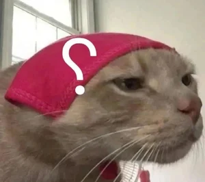 Funny Question Mark Memes: Hilarious Confused Meme Collection - image 31
