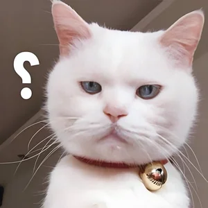 Funny Question Mark Memes: Hilarious Confused Meme Collection - image 1