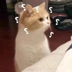 Funny Question Mark Memes: Hilarious Confused Meme Collection - image 10