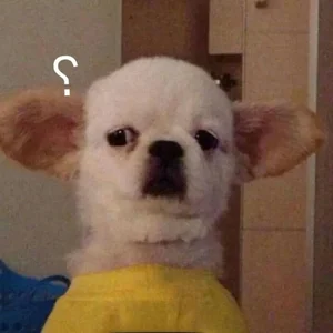 Funny Question Mark Memes: Hilarious Confused Meme Collection - image 32