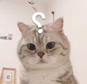 Funny Question Mark Memes: Hilarious Confused Meme Collection - image 36