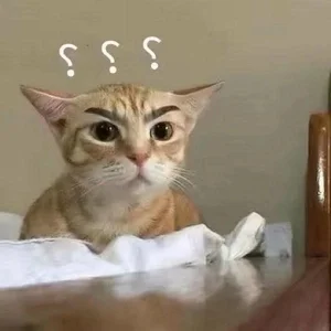 Funny Question Mark Memes: Hilarious Confused Meme Collection - image 0