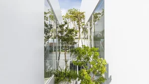 US Media Praises Unique Split-Design House in Hue, Vietnam - image 1