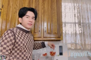 Inside Dan Truong’s Stunning $450,000 Luxury Villa in Texas: A Glimpse into the Singer’s American Home - image 9