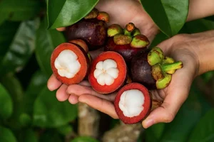 A Culinary Guide to Binh Duong: Top Dishes You Must Experience - image 0