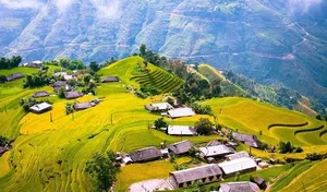 Travel Guide: Cloud Hunting and Golden Rice Season in Northwest Vietnam - image 2