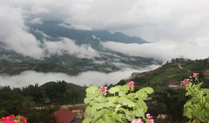 Travel Guide: Cloud Hunting and Golden Rice Season in Northwest Vietnam - image 1