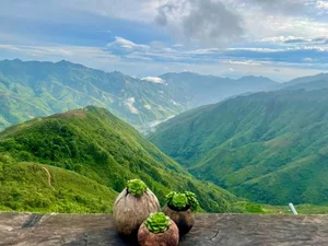 Travel Guide: Cloud Hunting and Golden Rice Season in Northwest Vietnam - image 0