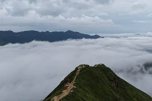 Travel Guide: Cloud Hunting and Golden Rice Season in Northwest Vietnam - image 3