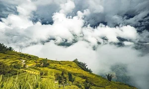 Travel Guide: Cloud Hunting and Golden Rice Season in Northwest Vietnam - image 6