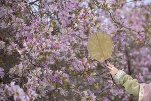 Ethereal Beauty Under Blossoms - YiTuYu Vol.8918 Jiu Shi Jiao Mei Nan A - image 5