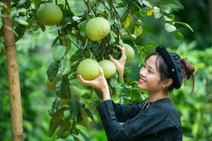 Captivating Traditional Costumes of Northwest Vietnam's Ethnic Minority Women - image 7