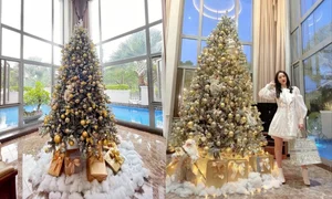 Inside the Luxurious Life of Singer Bao Thy and Her Husband - image 1
