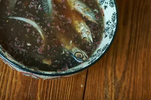 Surprising Culinary Secrets of Ancient Rome: The Fascinating History of Garum Fish Sauce - image 10