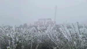 Discover Vietnam's Enchanting Winter Wonderland: Mystical Frost-Covered Landscapes Await You - image 0