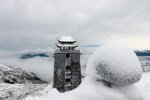 Discover Vietnam's Enchanting Winter Wonderland: Mystical Frost-Covered Landscapes Await You - image 1