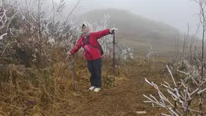 Discover Vietnam's Enchanting Winter Wonderland: Mystical Frost-Covered Landscapes Await You - image 4