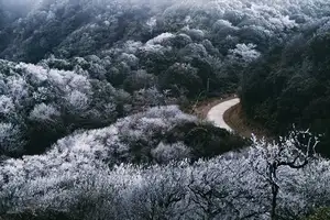 Discover Vietnam's Enchanting Winter Wonderland: Mystical Frost-Covered Landscapes Await You - image 5