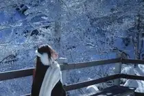 Discover Vietnam's Enchanting Winter Wonderland: Mystical Frost-Covered Landscapes Await You - image 8