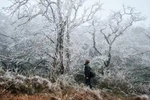 Discover Vietnam's Enchanting Winter Wonderland: Mystical Frost-Covered Landscapes Await You - image 9