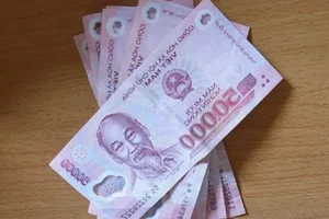 Hidden Secrets of Vietnam's Polymer Currency: More Than Just Money - image 6