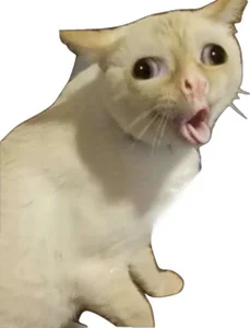 Shhh Quiet Memes: Cute and Funny Silence Memes - image 4