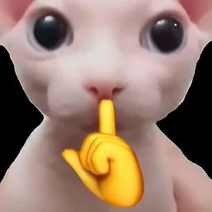 Shhh Quiet Memes: Cute and Funny Silence Memes - image 40