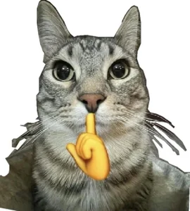 Shhh Quiet Memes: Cute and Funny Silence Memes - image 15