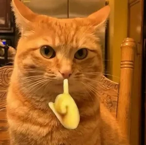 Shhh Quiet Memes: Cute and Funny Silence Memes - image 26