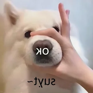 Shhh Quiet Memes: Cute and Funny Silence Memes - image 25